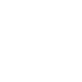 Revo - PCI-compliant solutions for all voice transactions